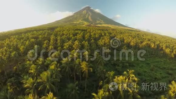 马永火山靠近菲律宾的勒加兹皮市。 日落时俯瞰棕榈丛林和种植园。 梅昂火山