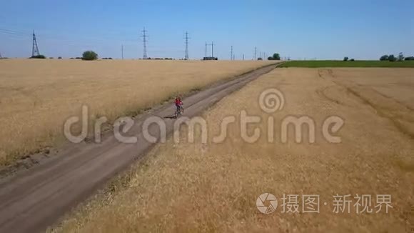 女孩沿着农田之间的道路骑行视频