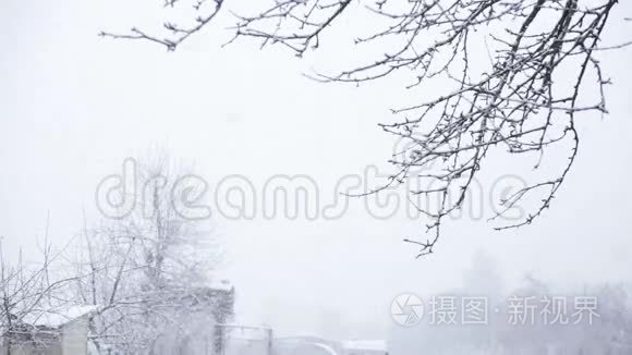 大片雪花飘落视频