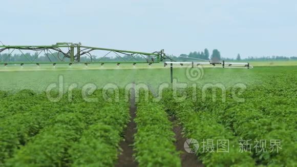 用除草剂喷洒马铃薯地。 三维喷头喷雾器的工作.. 保护植物