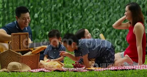 在公园里欢乐的家庭野餐视频