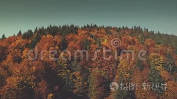 色彩斑斓的山林顶部景观鸟瞰视频
