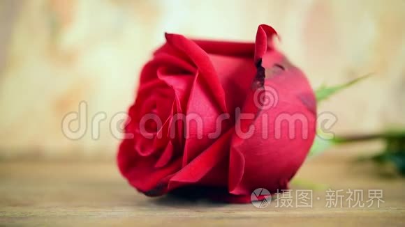 情人节木地板上的红玫瑰花