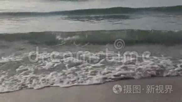 黄昏时在海滩上挥手视频