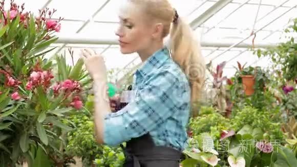女花匠给花园中心的植物喷水视频