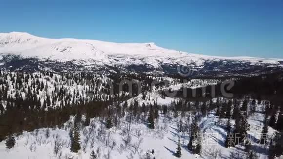 慢慢地飞过树木和大山冬季景观视频