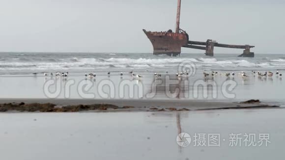 摩洛哥海滩上的沉船视频