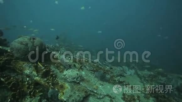 古巴加勒比海海底沉船残骸视频