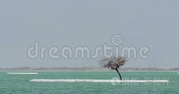 死海水景与咸岛视频