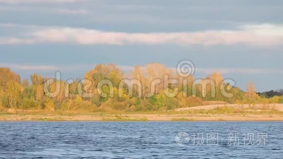 秋天的风景，黄叶树在河边的风中摇曳