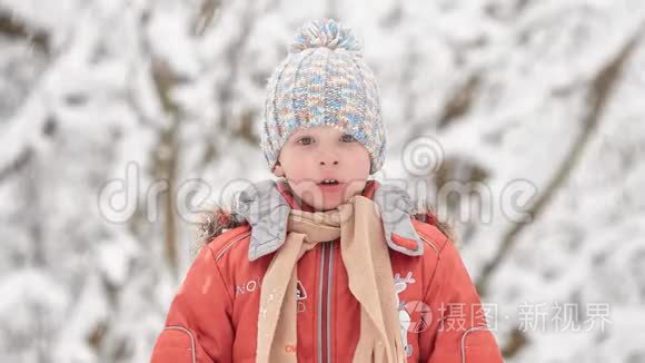 十二月的暴风雪。 雪林中的男孩。