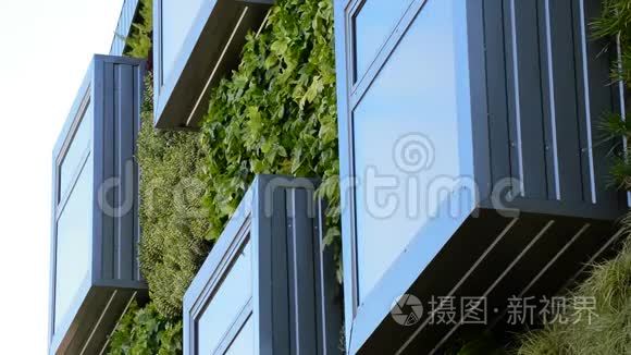 现代绿色建筑中的窗户,自然概念短视频