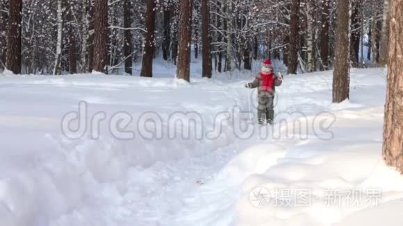 晴天在森林里快乐的小男孩滑雪视频