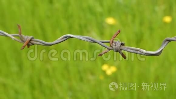 带绿草的铁丝网视频