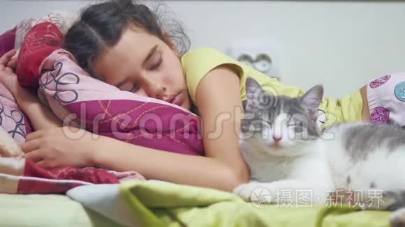 女孩和猫睡在床上，猫睡在床上。 小女孩可爱和宠物猫睡在一起