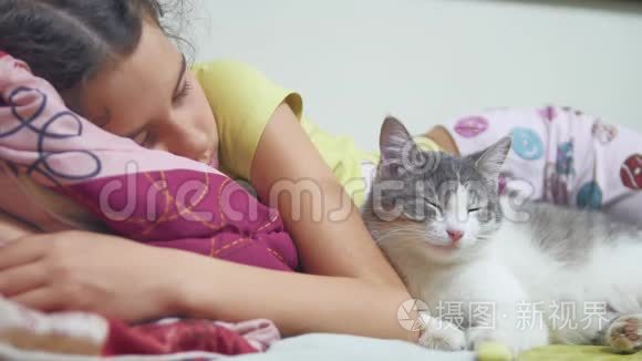 女孩和猫睡在床上，猫睡在床上。 小女孩可爱，一起睡在室内宠物猫