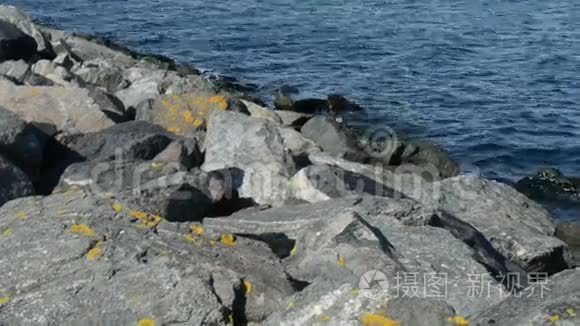 德国罗斯托克港海水中的岩石视频