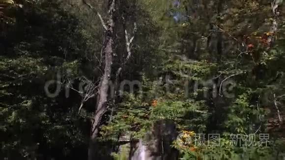 俄罗斯格伦日克游泳洞射水法视频