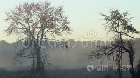 晨雾在湖面上，日出拍摄