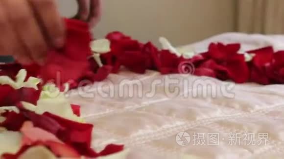 床上玫瑰花瓣的心脏视频