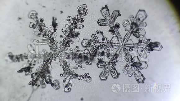 两片雪花正在融化视频