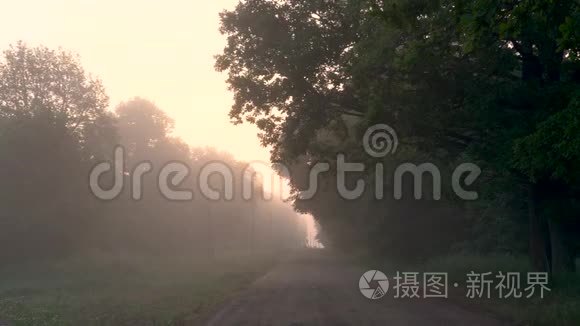 夏天日出时雾在乡间小路上