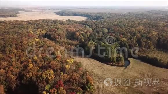 克拉朗古里森林的空中秋天视频