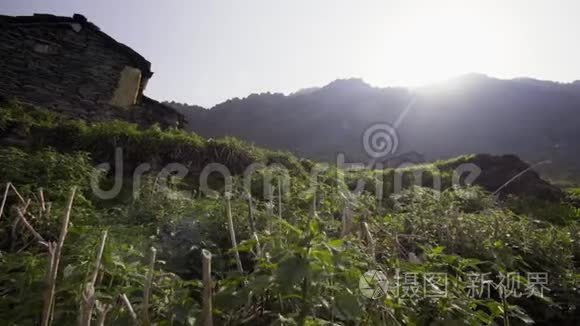 喜马拉雅山斜坡上的印度村庄