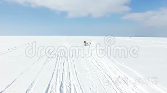 在冰冻的海湾训练雪橇狗视频