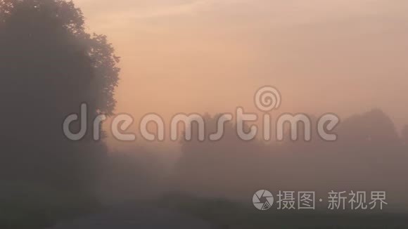 夏天日出时雾在乡间小路上