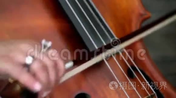 大提琴和大提琴特写视频
