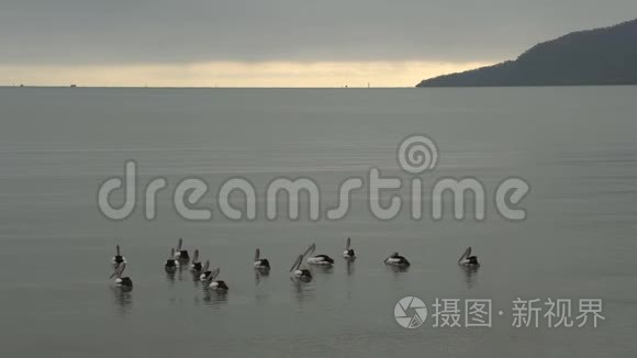 澳大利亚昆士兰州凯恩斯海岸的群