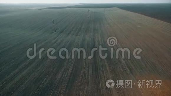 从空中俯瞰草地