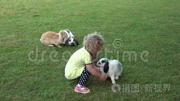 好奇的卷发女孩在动物园花园的兔子间玩得很开心