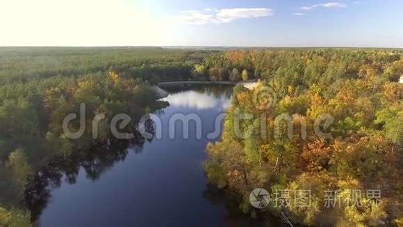 鸟瞰秋色树梢飞过秋景