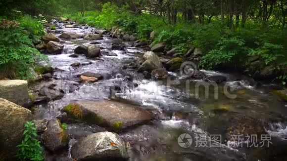 比利牛斯岛西班牙的小溪视频