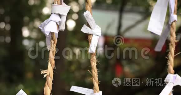 日本静冈箱根神社