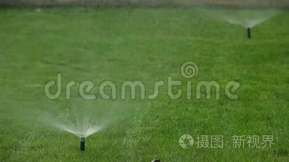 喷水草坪花园自动灌溉系统视频
