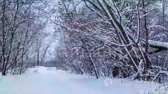 冬季平静的景观与道路视频