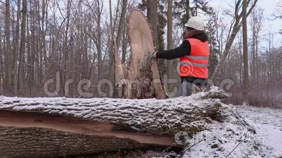 林中破树附近有电话的伐木工人视频