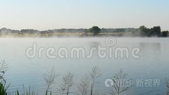 早晨美丽的雾浮在湖面上视频