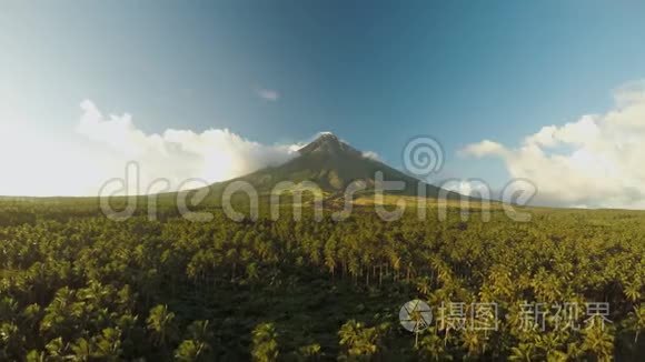 马永火山靠近菲律宾的勒加兹皮市。 日落时俯瞰棕榈丛林和种植园。 梅昂火山