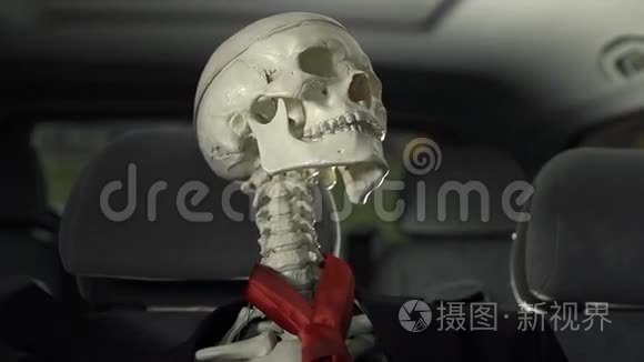 骷髅在车里四处张望视频