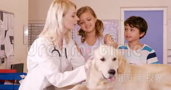 兽医和孩子们抚摸一只狗