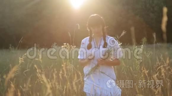 夏草地自然夕阳采花做圈的女孩视频