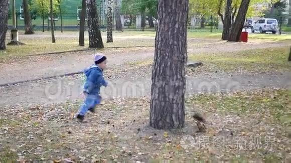 一个小孩子在公园里玩松鼠视频