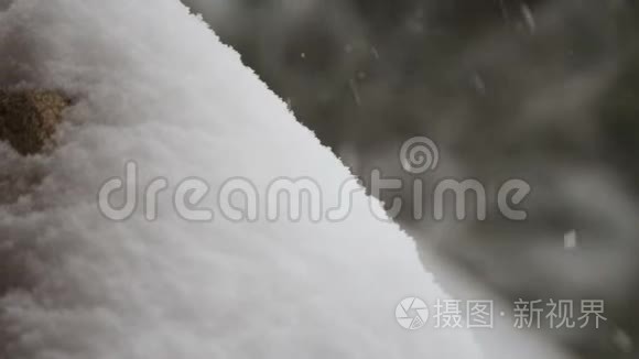 冬季降雪森林特写..