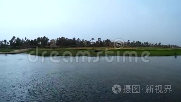 尼罗河畔卢克索房屋的景色视频