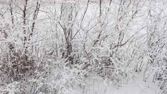 大雪纷飞视频