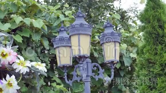 绿色葡萄背景下的装饰灯笼视频